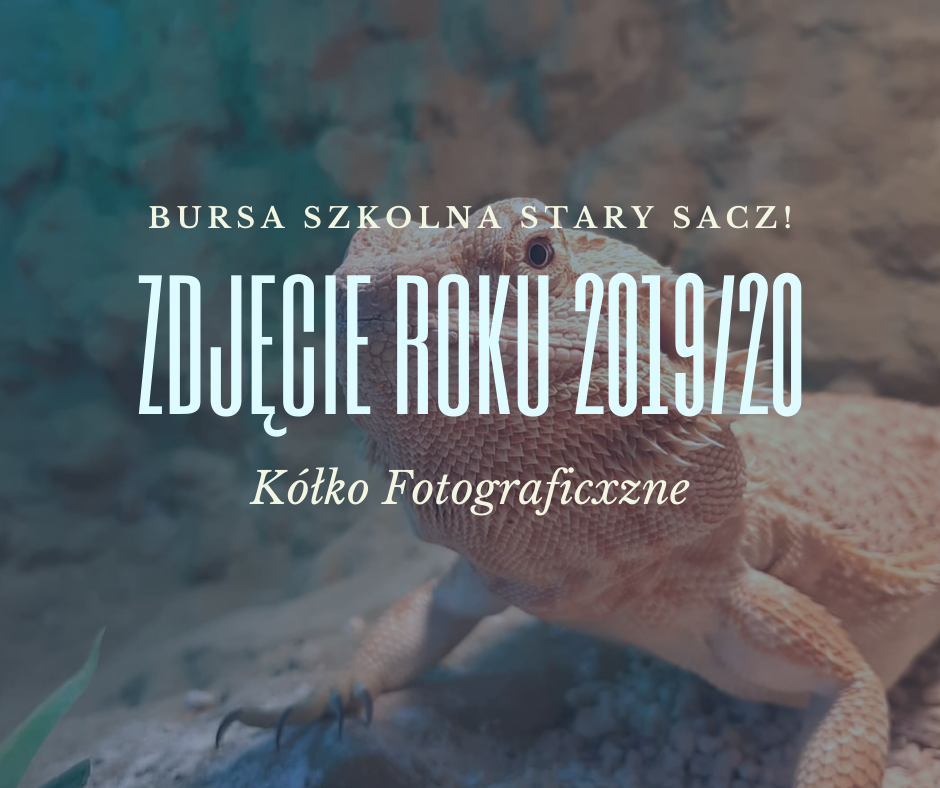 Zobacz najlepsze zdjęcie roku 2019/20- ogłoszenie wyników 